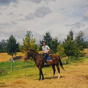 Meet your Posher, Felipe